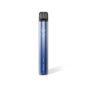 Elfbar 600 V2 - Einweg E-Zigaretten Mad Blue