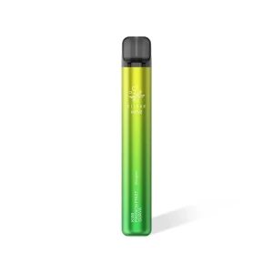 Elfbar 600 V2 - Einweg E-Zigaretten Passion Fruit Guave