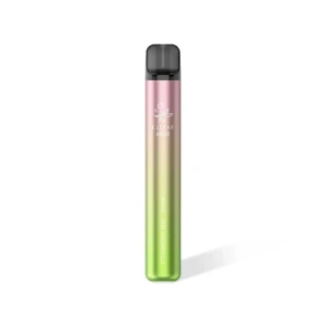 Elfbar 600 V2 - Einweg E-Zigaretten Strawberry Kiwi
