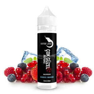 HAYVAN JUICE Cok Güzel Remake 31er Aroma 10ml