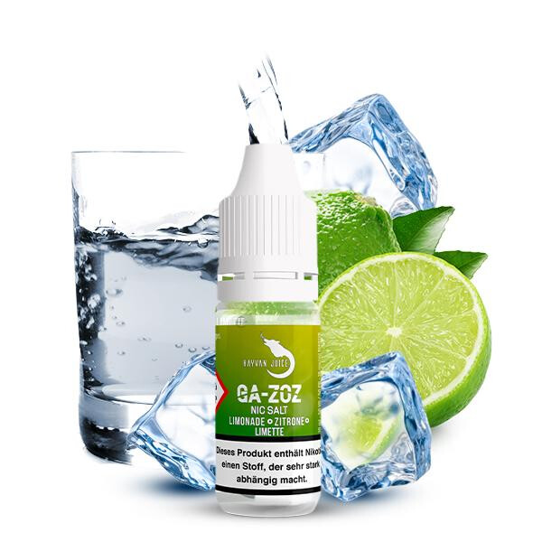 HAYVAN JUICE Ga-zoz Nikotinsalz Liquid 10ml 18mg Nikotinmenge