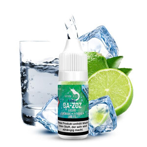 HAYVAN JUICE Cool Ga-zoz Liquid 10ml 0mg Nikotinmenge