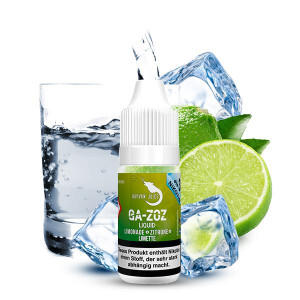 HAYVAN JUICE Ga-zoz Liquid 10ml 0mg Nikotinmenge