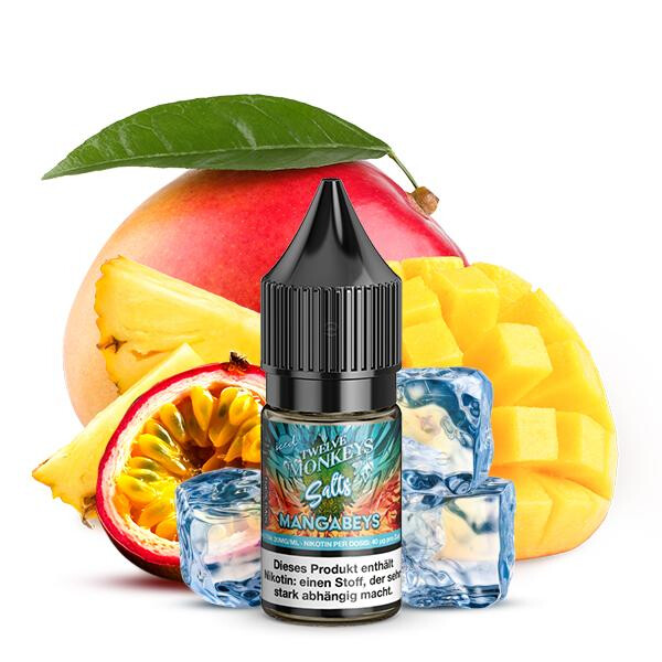 TWELVE MONKEYS Mangabeys Iced Nikotinsalz Liquid 10 ml 20mg Nikotinmenge