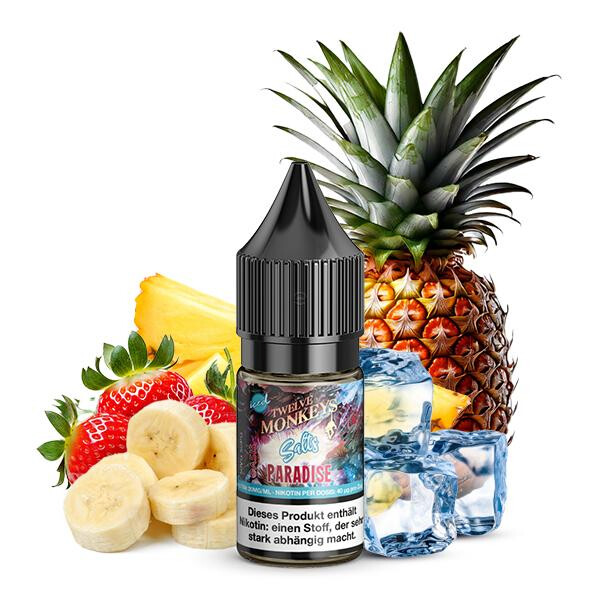 TWELVE MONKEYS Paradise Iced Nikotinsalz Liquid 10 ml 20mg